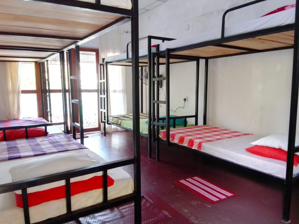 bunk bed
