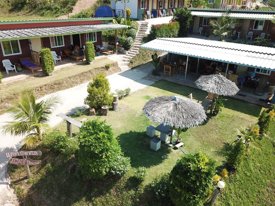 Property building, Garden, Garden