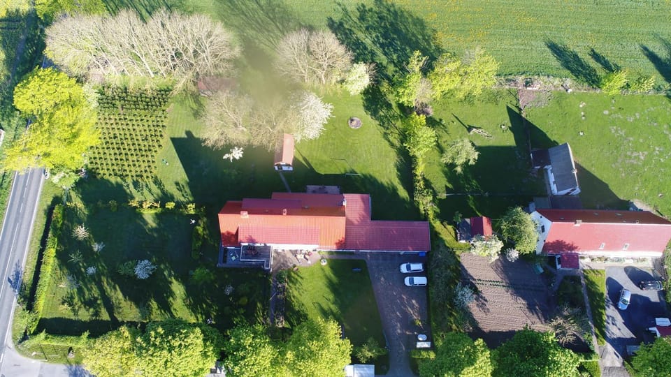 Bird's eye view, Garden, Inner courtyard view