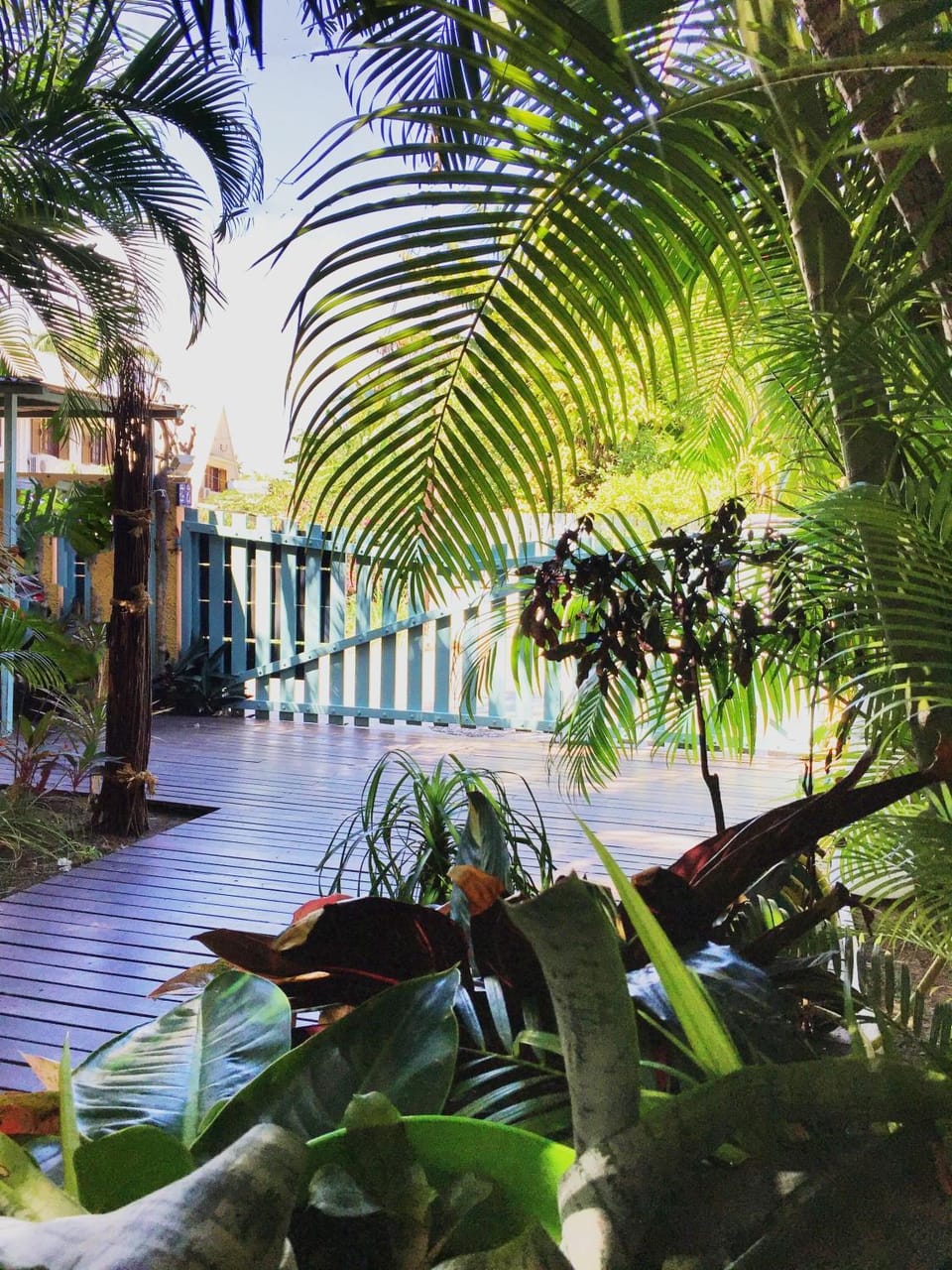 Garden