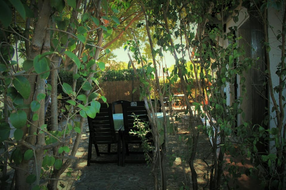 Garden view