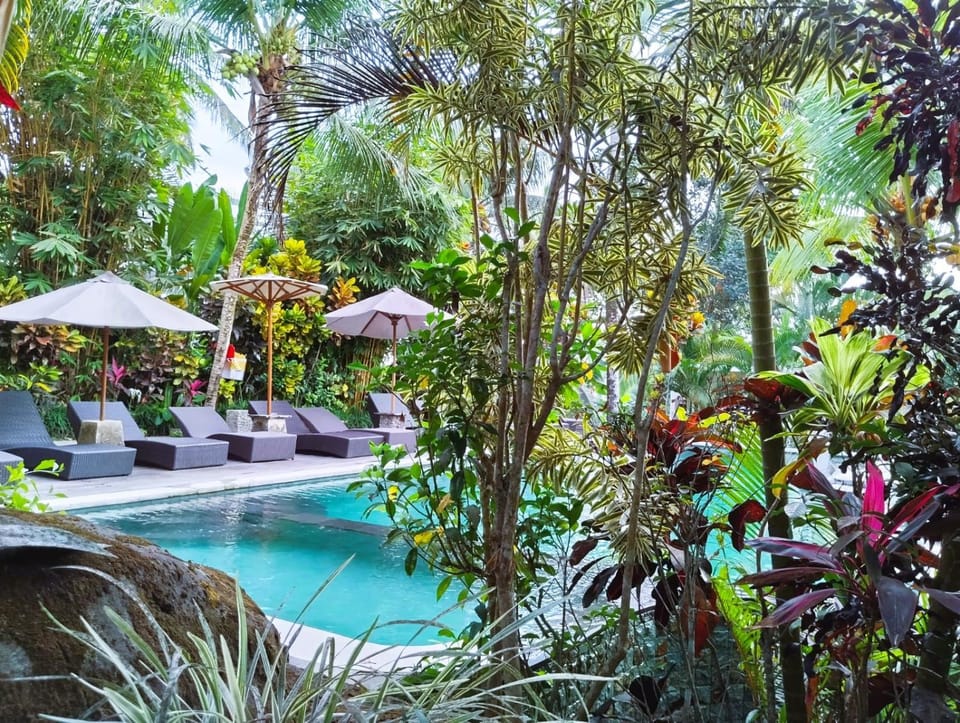 Pool view, Swimming pool