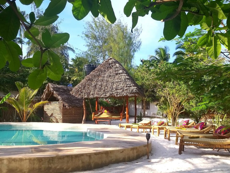 Pool view, Swimming pool, sunbed