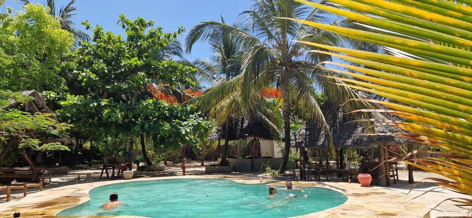 Pool view, Swimming pool