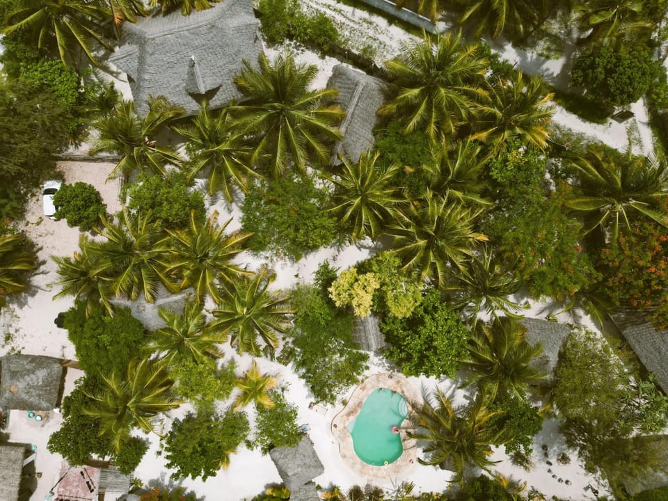 Natural landscape, Garden view