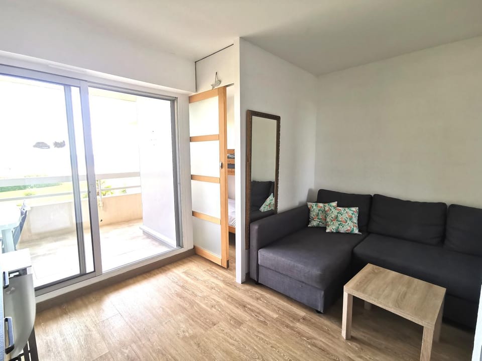 Appartement climatise Vue Mer 208 Apartment in Canet-en-Roussillon