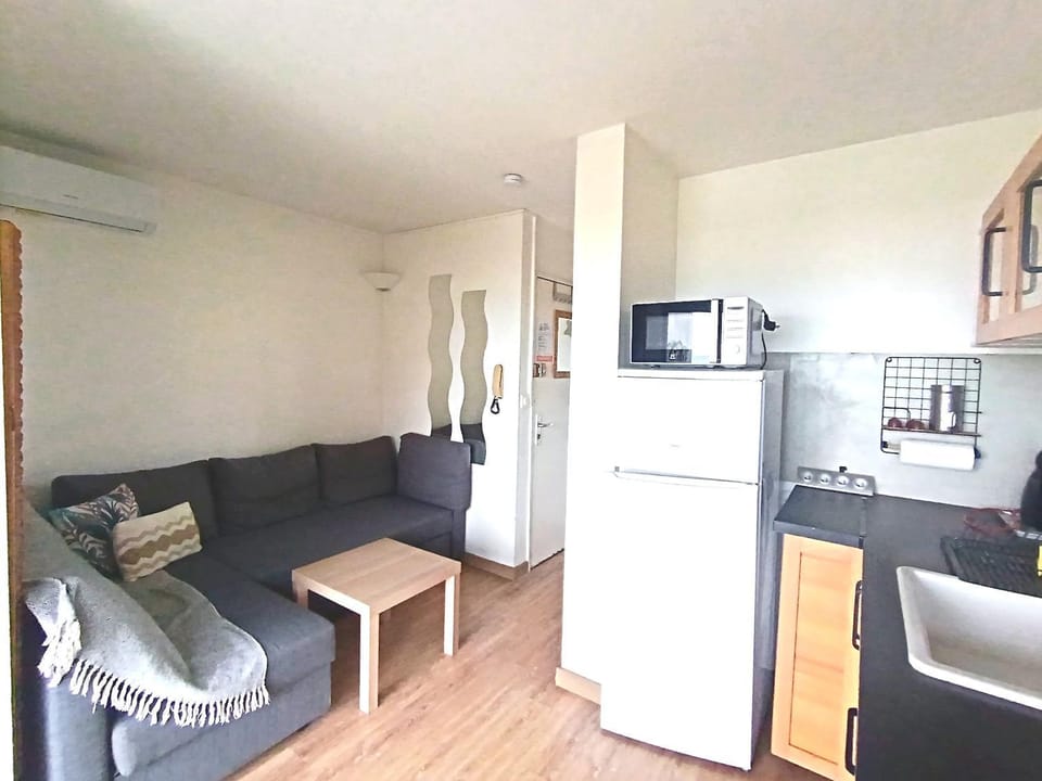 Appartement climatise Vue Mer 208 Apartment in Canet-en-Roussillon