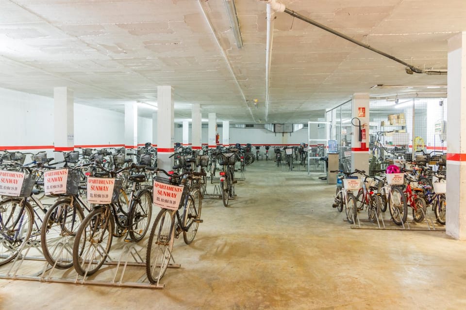 Activities, Cycling, Area and facilities