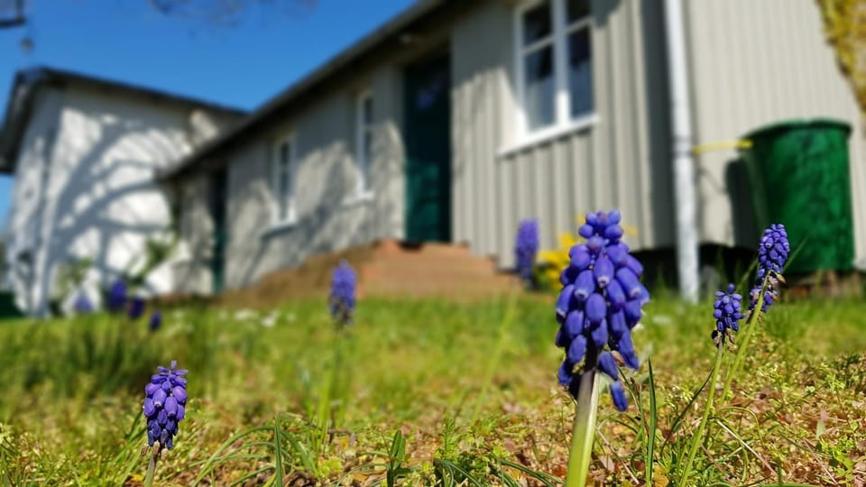 Property building, Garden