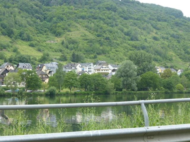 Property building, Natural landscape