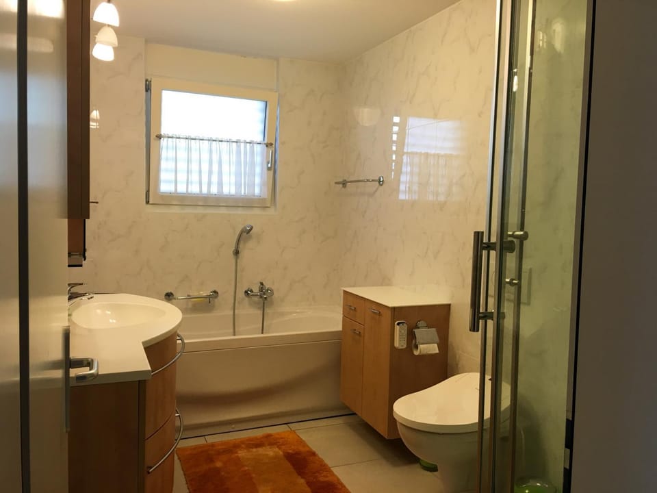 Shower, Toilet, Bathroom, Decorative detail, Bath, bidet, hair dresser, storage