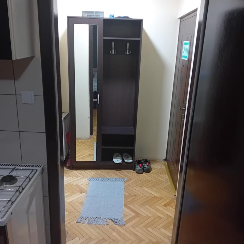 Apartment Viktor 2 stan na dan Apartment in Vojvodina