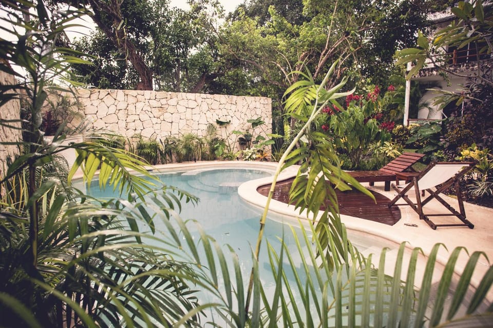 Garden, On site, Swimming pool, Swimming pool