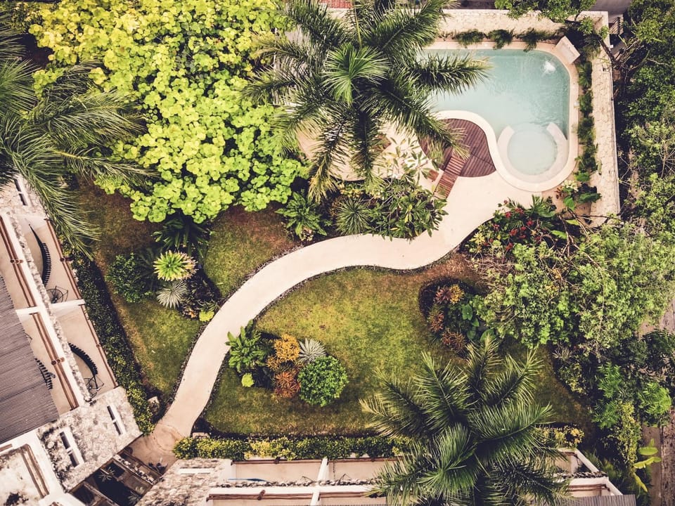 Bird's eye view, Garden, On site, Garden view, Pool view, Swimming pool, Swimming pool