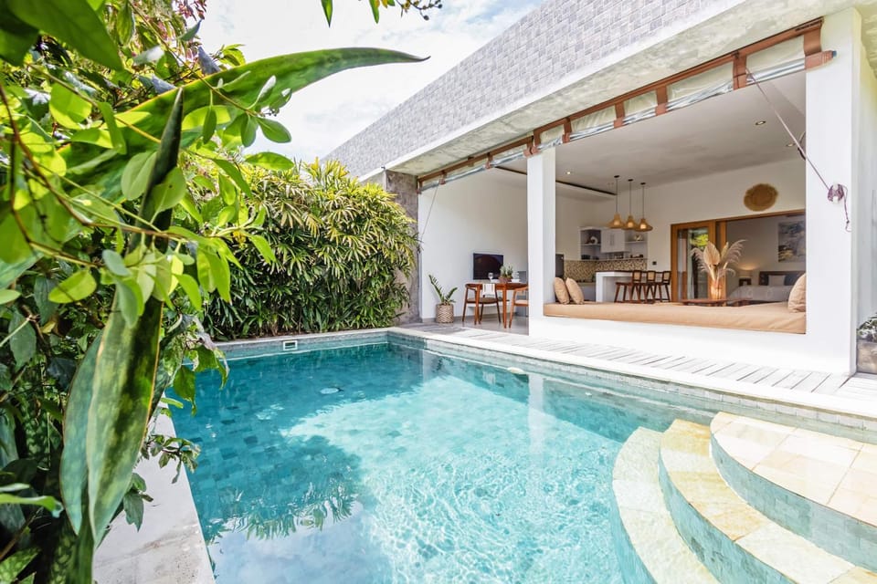 Property building, Patio, Day, Garden, Garden view, Pool view, Swimming pool