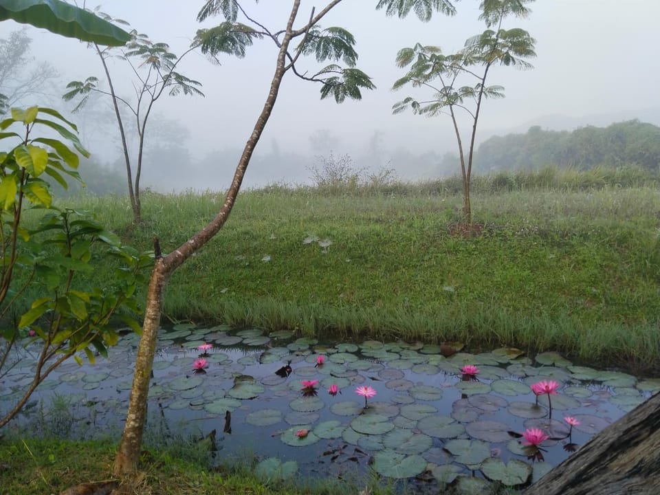 Baan Suan Jantra Home Stay Resort in Thailand