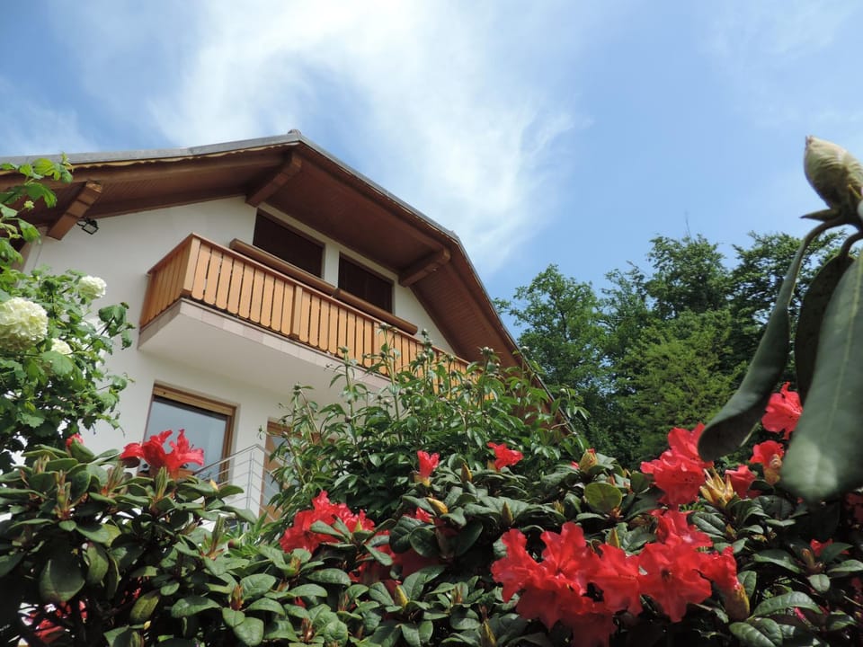 Property building, Facade/entrance, Spring, Day, Garden, Balcony/Terrace, On site, Garden view, Garden view