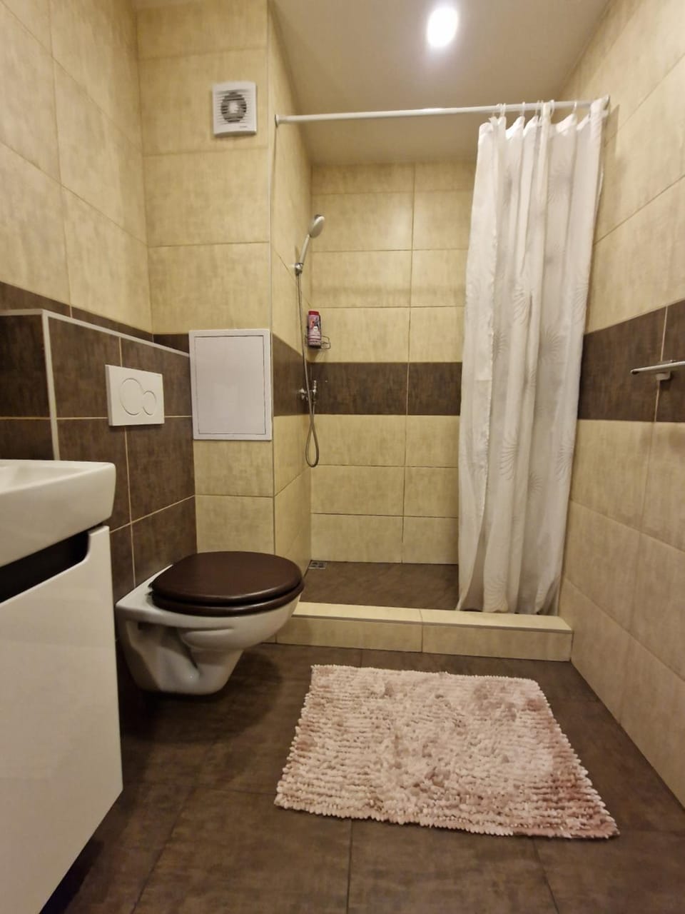 Shower, Toilet