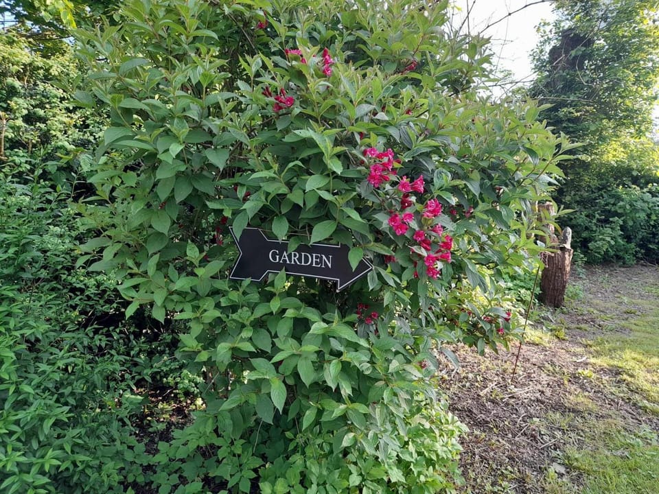 Le Cerf volant House in Wallonia, Belgium