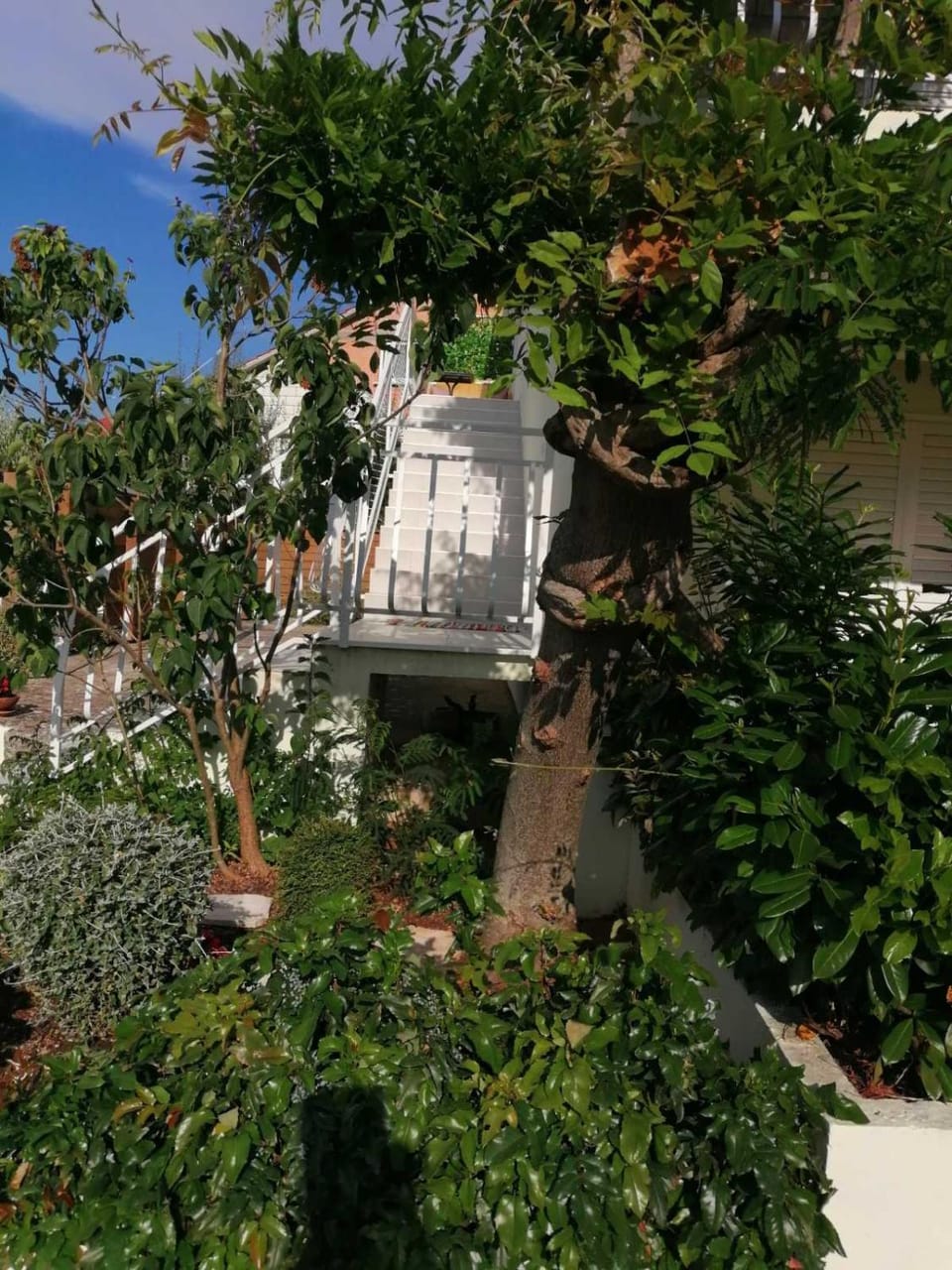 Apartman LUCIJA Apartment in Korčula