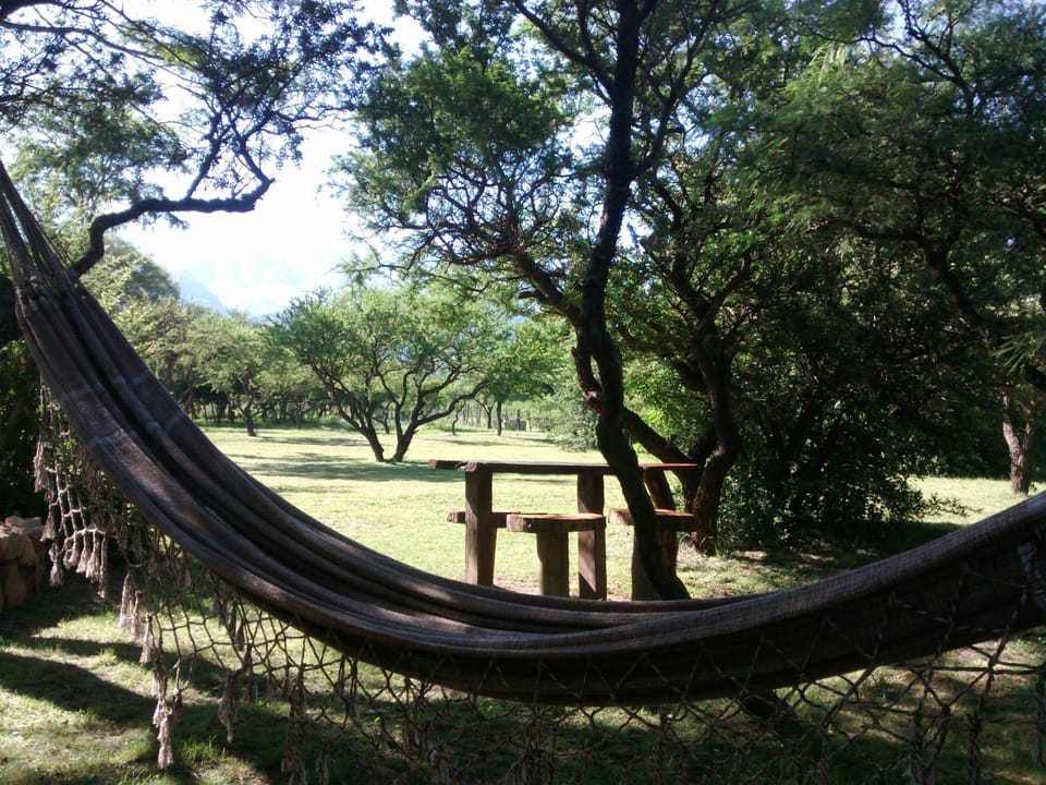 Garden, Garden view, Area and facilities