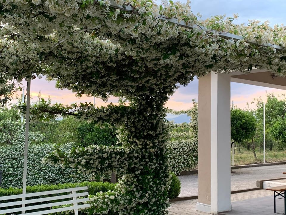 Ginger House House in Campania
