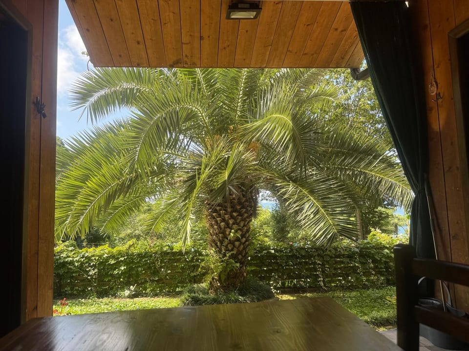 Chalet Ochos Qokhi House in Batumi