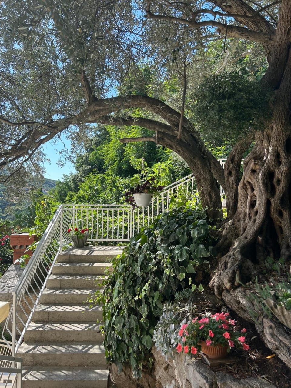 Apartments Antunović Apartment in Dubrovnik-Neretva County