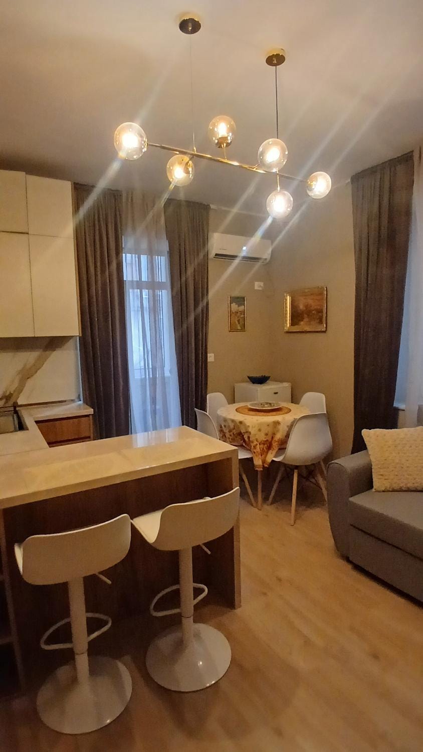 Art Apartment Apartment in Montenegro