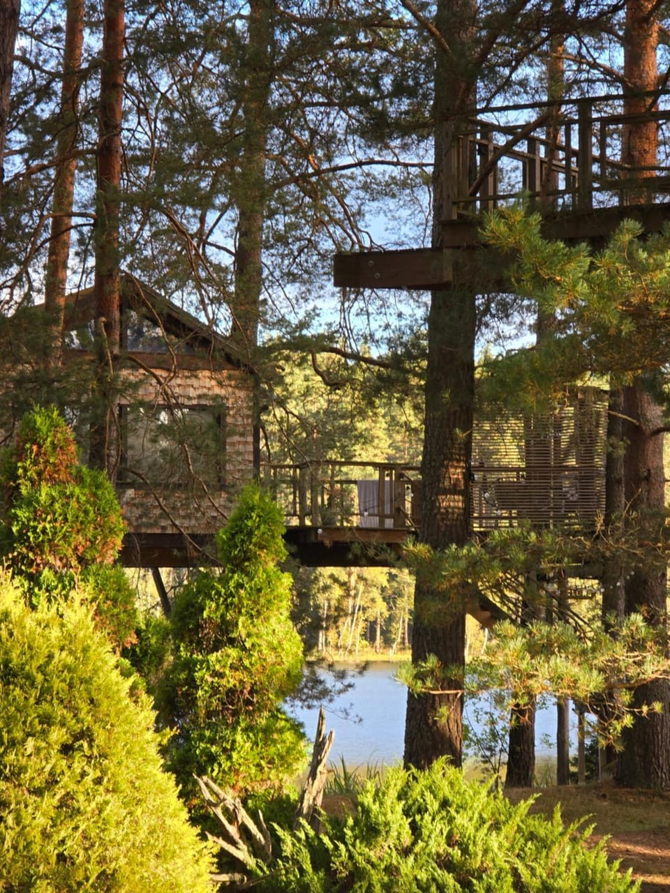 Treehouse Čiekurs House in Latvia