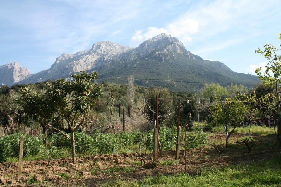 Garden view, Mountain view