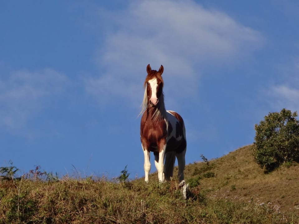 Horse-riding