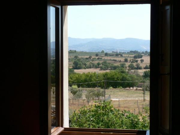View (from property/room)