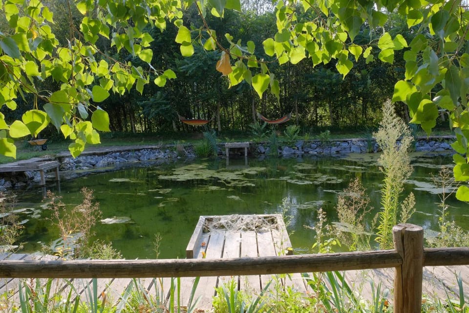 Day, Natural landscape, Garden, Garden view, Lake view