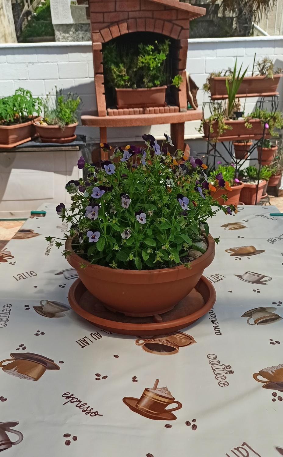 Balcony/Terrace