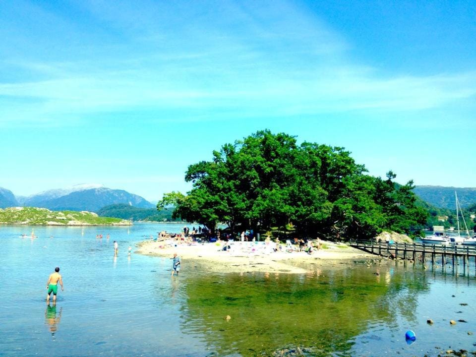 Day, Natural landscape, Beach, Sea view, Family