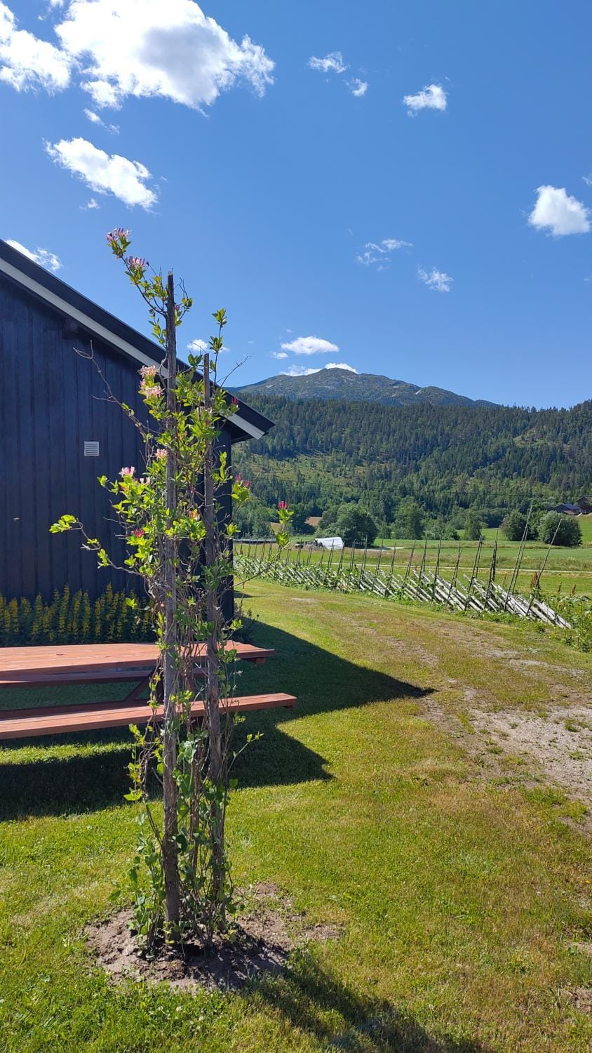Suigard Veslestugo Campground/ 
RV Resort in Viken, Norway