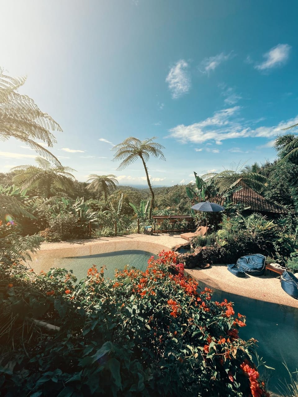 View (from property/room), Swimming pool