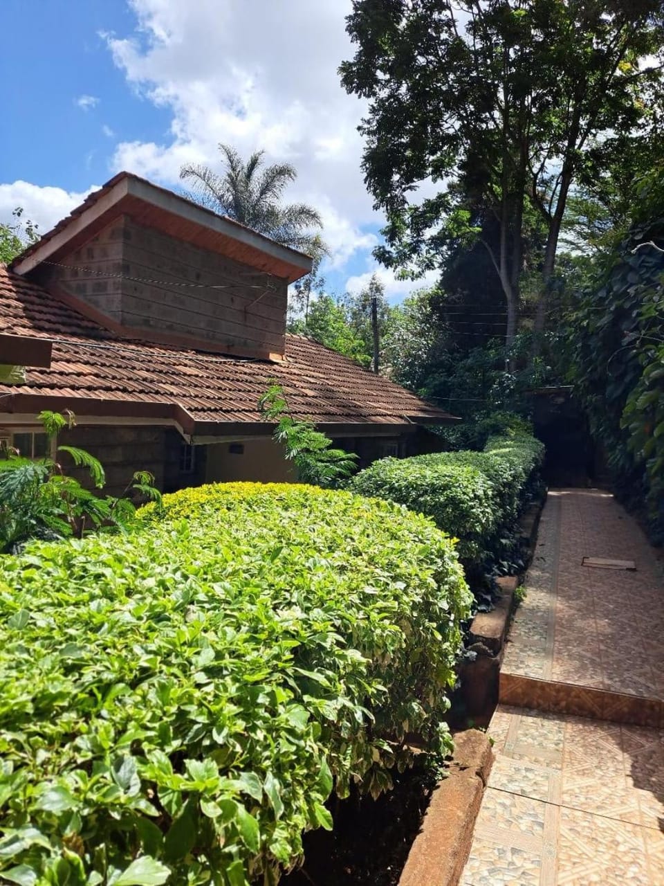 Spring, Garden view