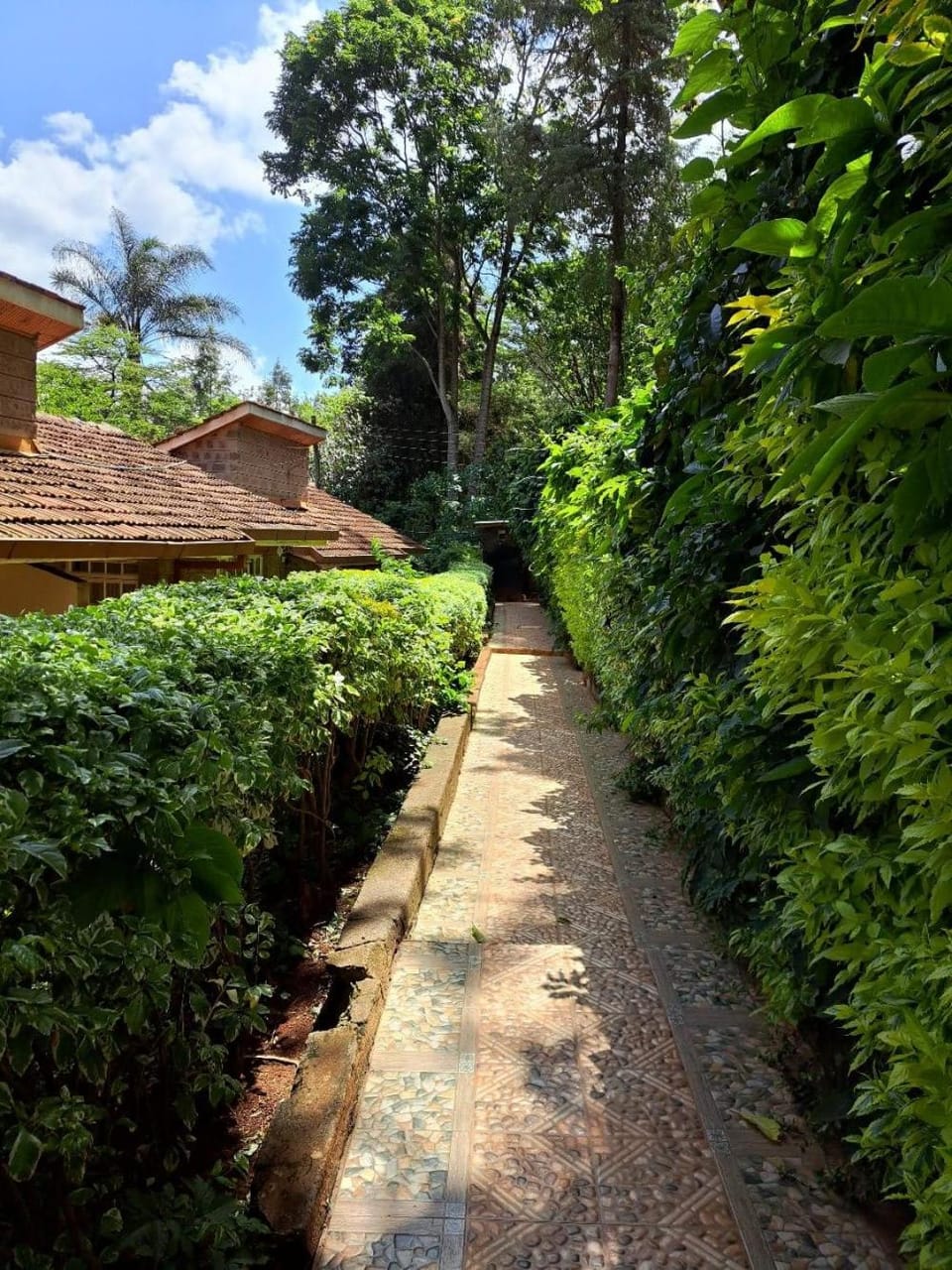 Day, Garden