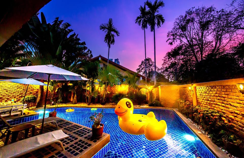 Swimming pool, Swimming pool