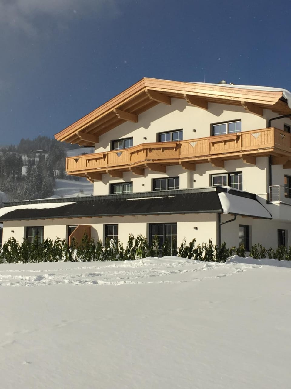Property building, Winter