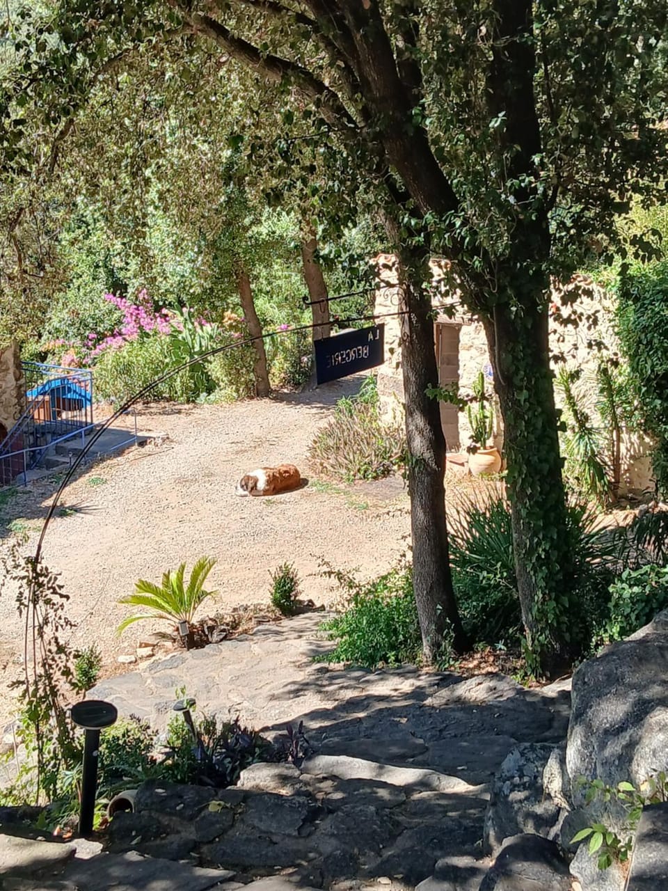 Garden view