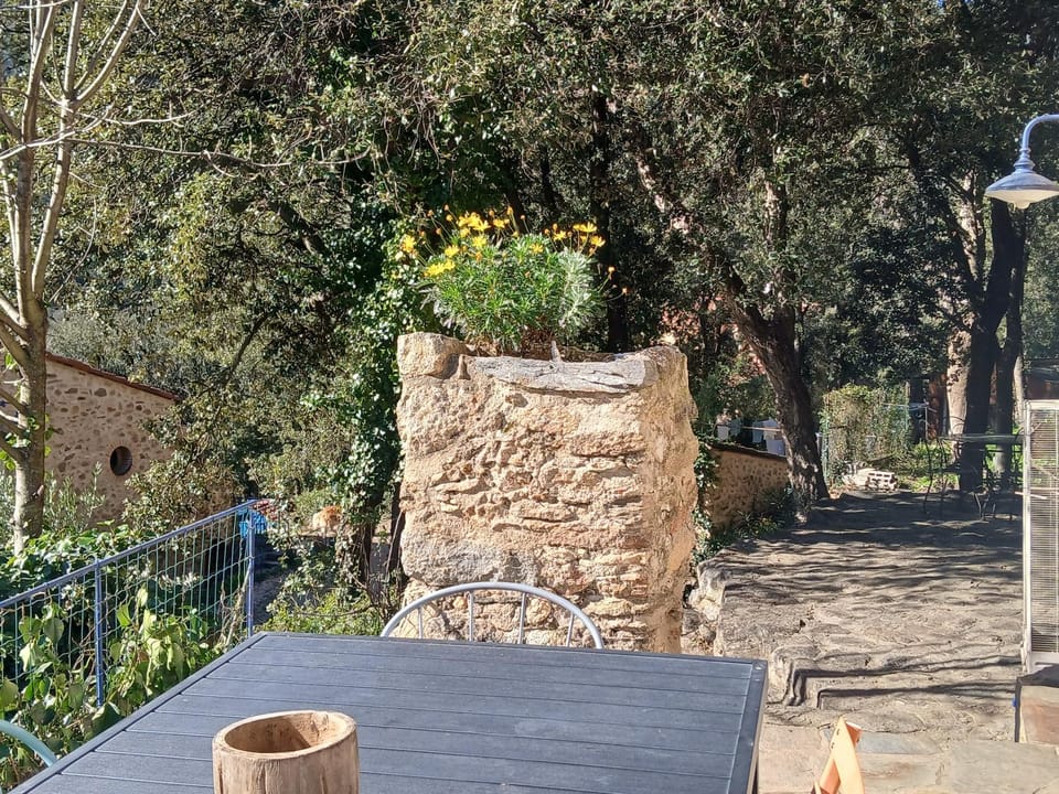 Natural landscape, Garden