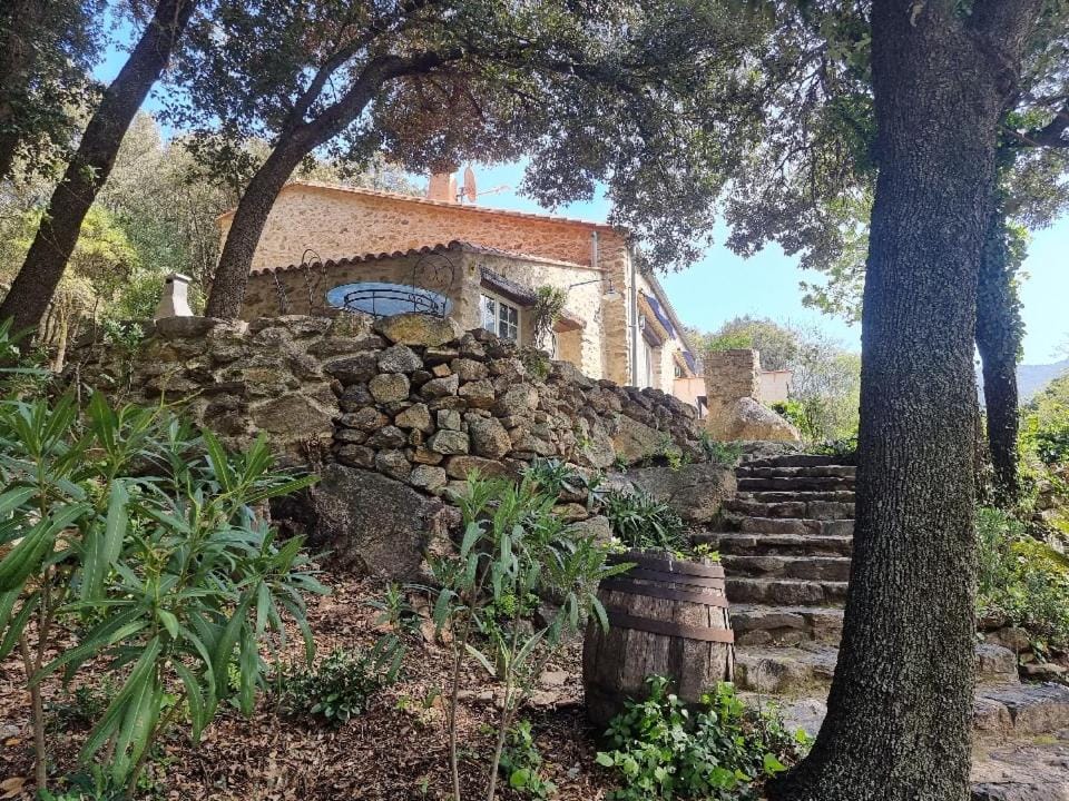 Property building, Natural landscape, Garden view