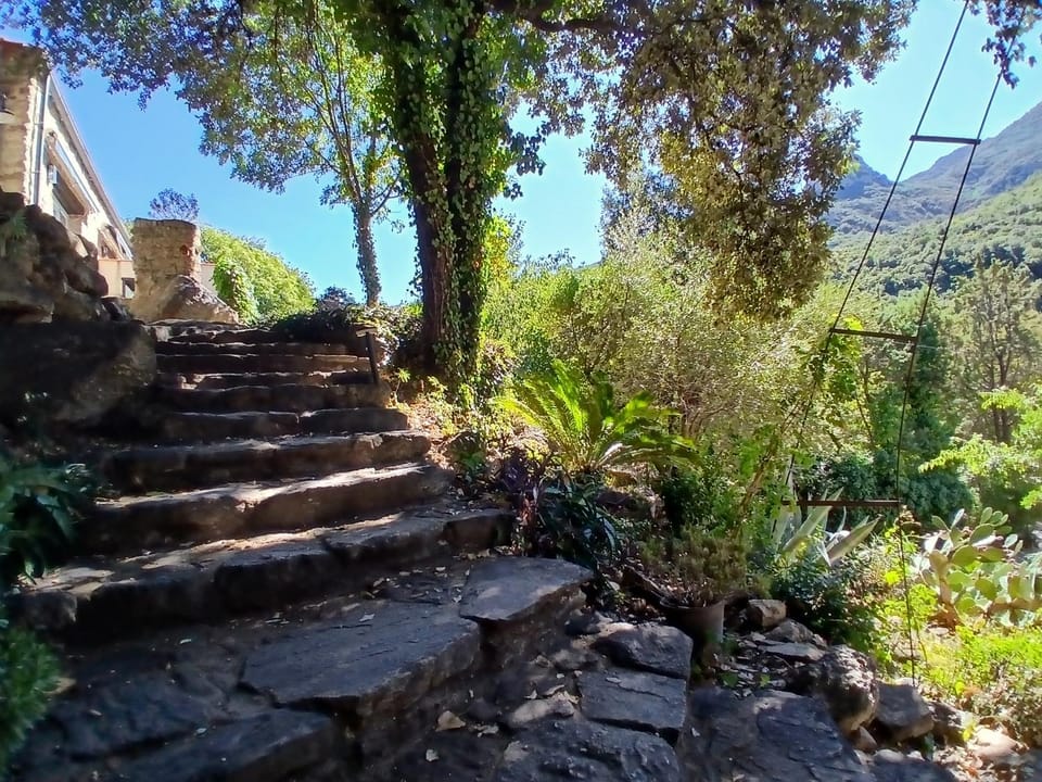 Natural landscape