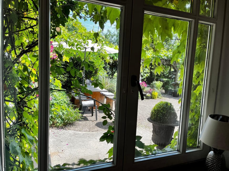 Garden view