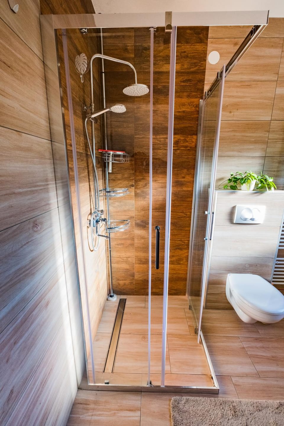 Shower, Toilet