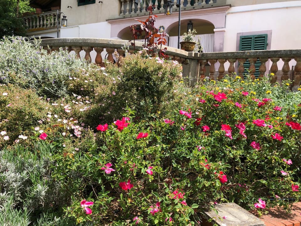 Summer, Garden, Balcony/Terrace, Garden view