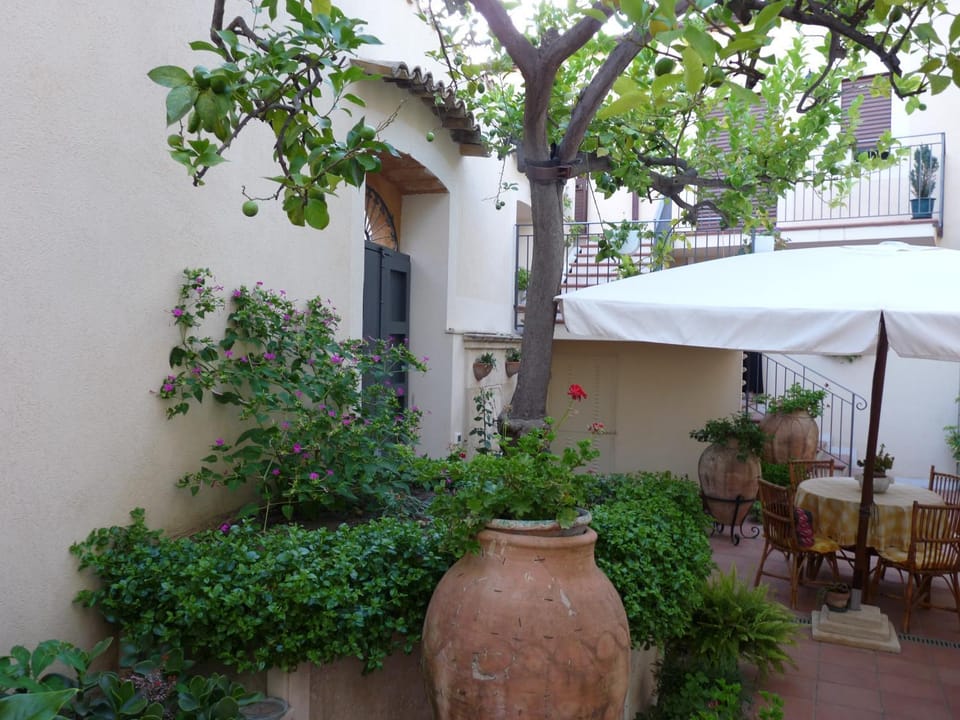 Garden view